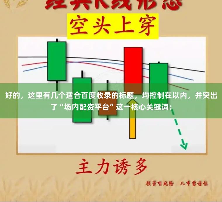 好的，這里有幾個適合百度收錄的標題，均控制在以內，并突出了“場內配資平臺”這一核心關鍵詞：